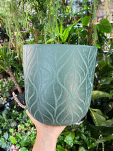 Load image into Gallery viewer, Leaf effect Indoor / Outdoor plant pot 16cm 22cm
