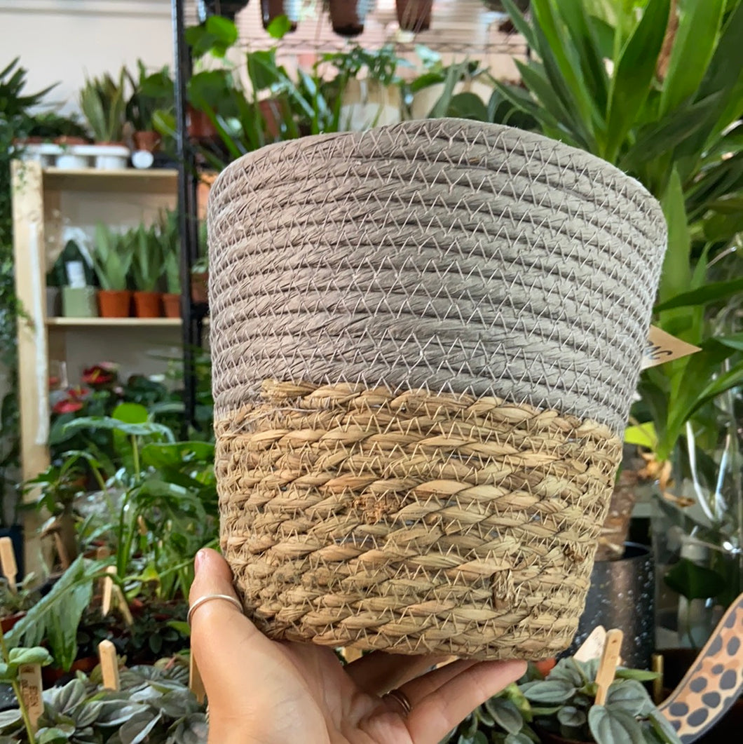 Seagrass grey woven planter - 18cm