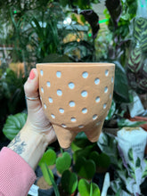Load image into Gallery viewer, Terracotta spotty plant pot - 10cm 12cm 15cm
