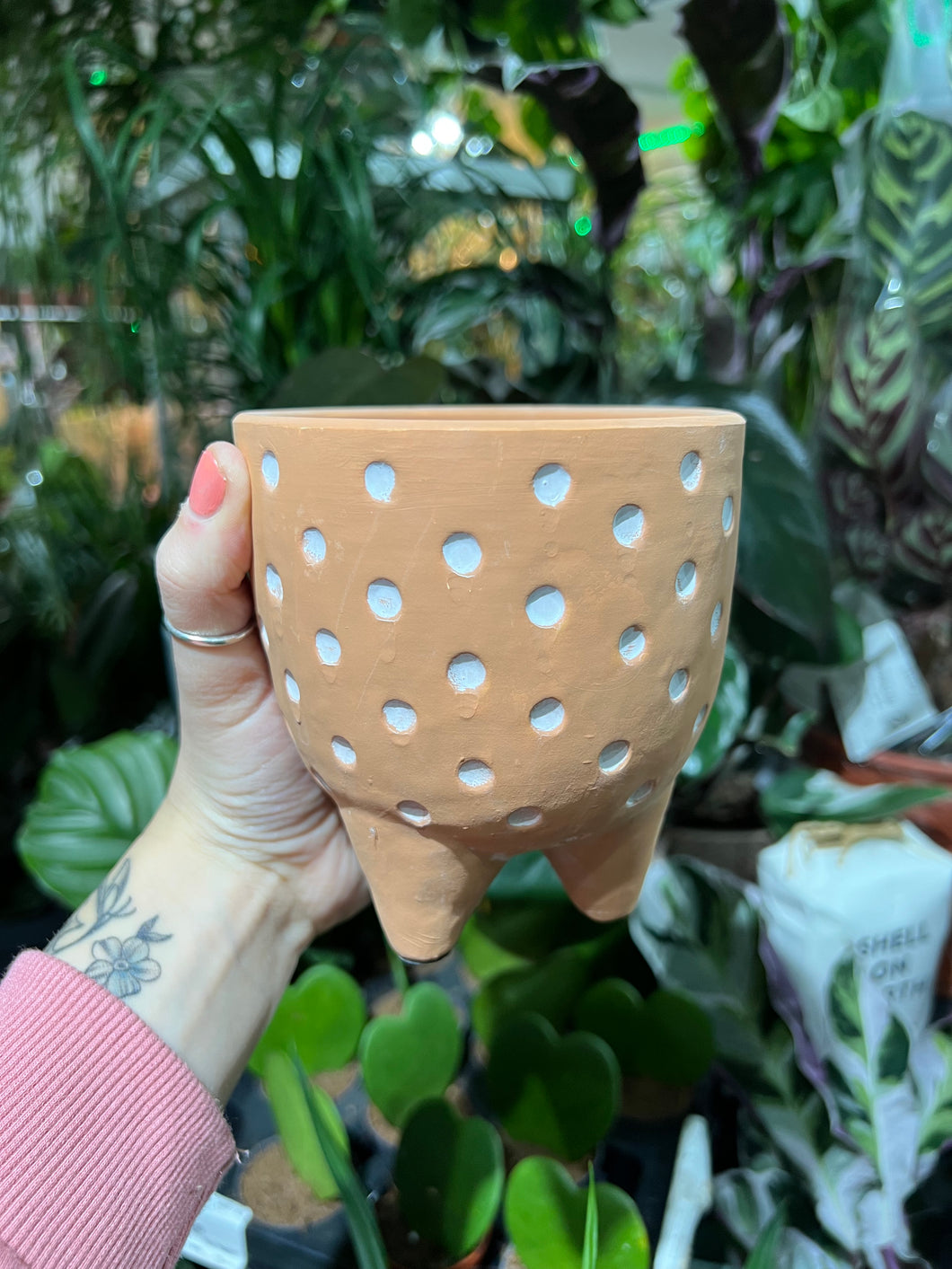 Terracotta spotty plant pot - 10cm 12cm 15cm